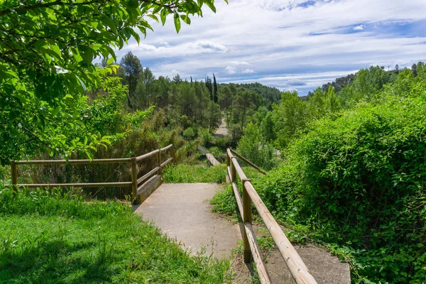 Wooden railing at a viewpoint overlooking the green mountain landscape