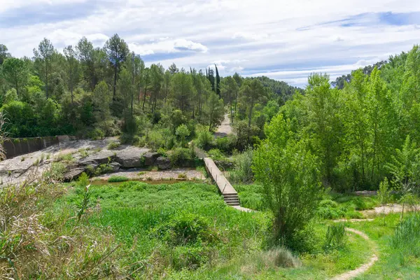 Wooden Bridge River Vegetation — Stock Fotó