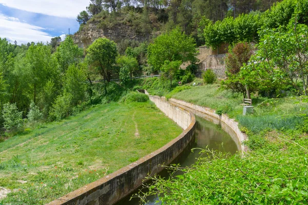 果园灌溉渠的景观 — 图库照片