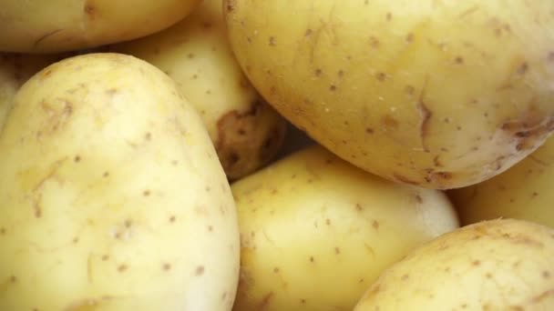 Gros plan sur les pommes de terre de jardin qui tournent sur elles-mêmes — Video
