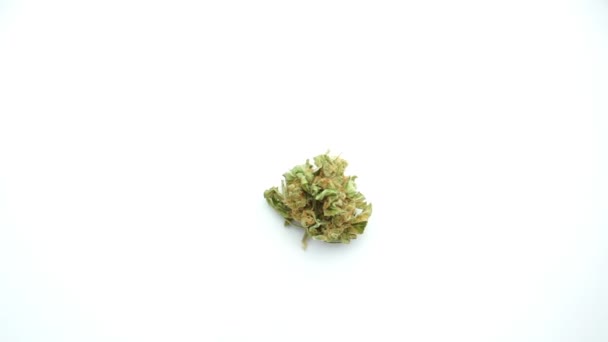 Een cannabisknop — Stockvideo