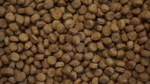 Texture Cat Food Pellets Spinning Rotating Base — Stock Video