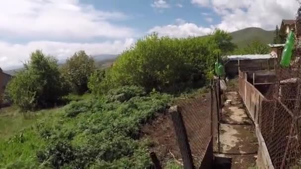 Veduta Dei Maiali Nelle Stalle Azienda Agricola — Video Stock