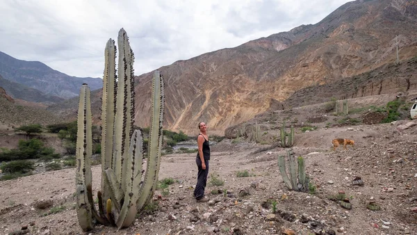 Hiker and giant cactus at the Tablachaca and river in the northern Andes of Peru.