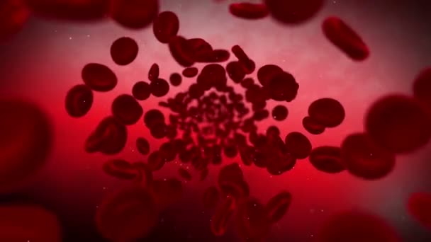 Cellule rosse del sangue — Video Stock