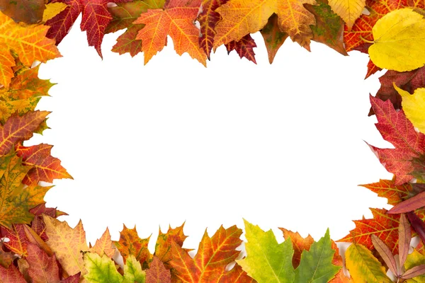 Achtergrond frame geïsoleerd kleurrijke herfstbladeren bruiloft partij ik — Stockfoto