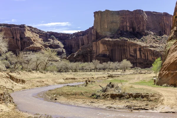 Canyon — Foto Stock