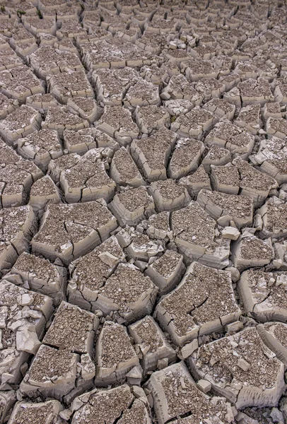 Cracked earth — Stock Photo, Image