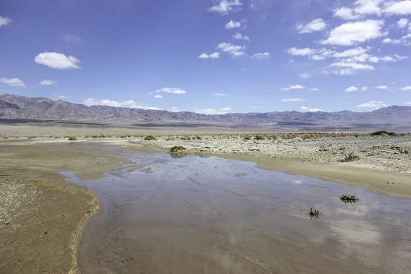 Cama de río seca — Foto de Stock