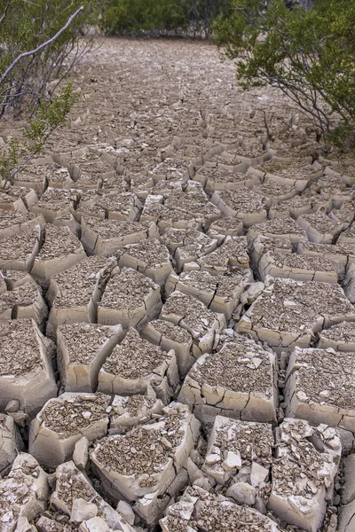 Dried river bed — Stock Photo, Image