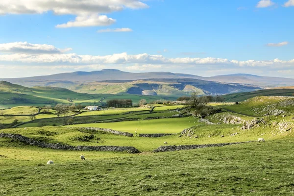 Lindas dales yorkshire paisagem deslumbrante paisagem inglaterra tou Imagens Royalty-Free