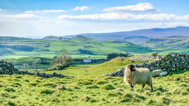 Güzel yorkshire dales çarpıcı sahne İngiltere tou manzara