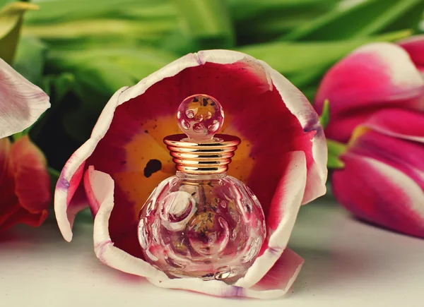 Perfume and tulips — Stock Photo, Image