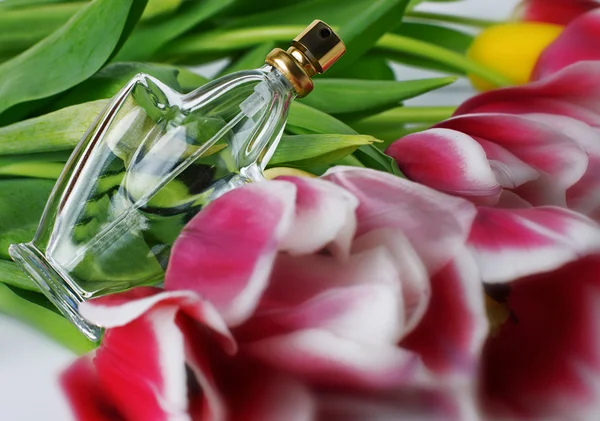 Perfumy i kwiaty — Zdjęcie stockowe