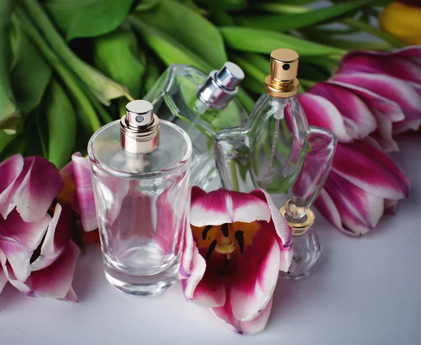 Várias garrafas de perfume de mulher — Fotografia de Stock