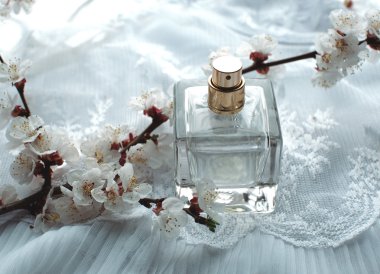 Kayısı çiçeği tarafından çevrili parfüm şişe