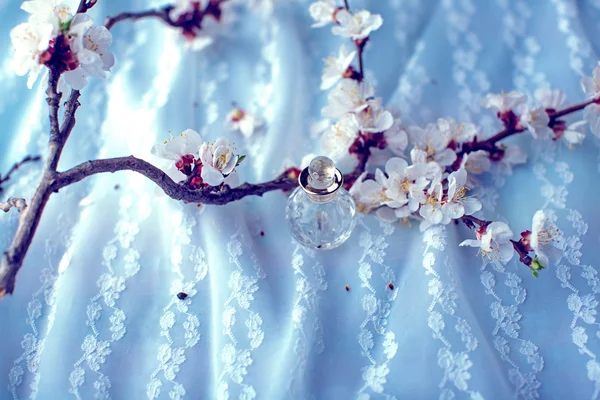 Bouteille de parfum entourée de fleurs d'abricot — Photo