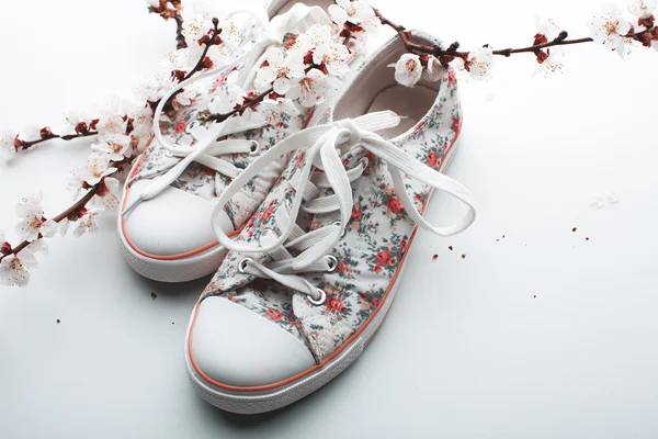 Chaussures d'été femme et fleurs d'abricot — Photo