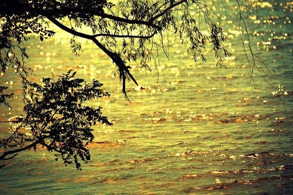 석양 바다 — 스톡 사진