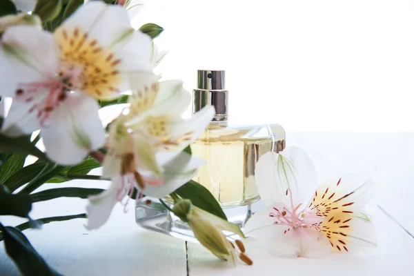 Parfüm ve çiçekler — Stok fotoğraf