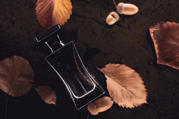 Perfume Hojas Otoño Sobre Fondo Oscuro —  Fotos de Stock