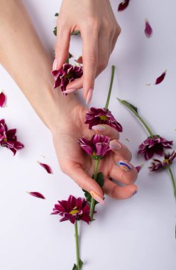 Güzel, sofistike, beyaz arka planda pembe çiçekleri olan kadın elleri. El bakımı konsepti, kırışıklık önleyici krem, kaplıca..