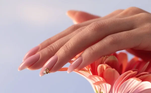 Beauty nail care. Delicate hands with manicure holding a pink petals close up on flower background. Beautiful nails close-up, great idea for the advertising of cosmetics