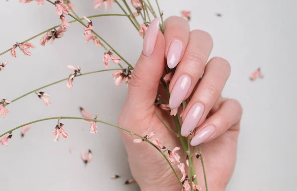 Piękne Kobiety Manicure Kwiaty Zbliżenie — Zdjęcie stockowe