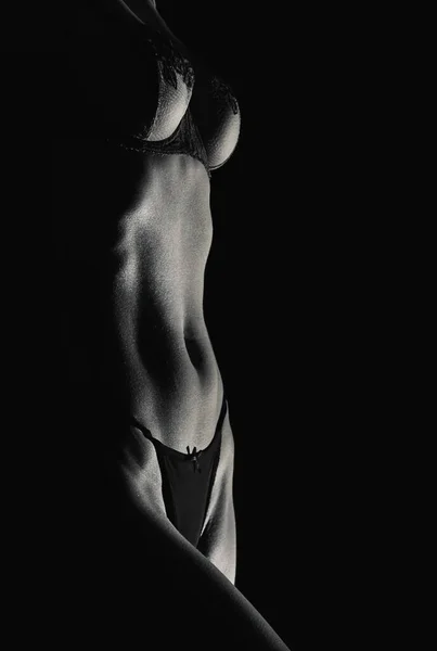 Black White Silhouette Female Body Art Photography — Stock Photo, Image