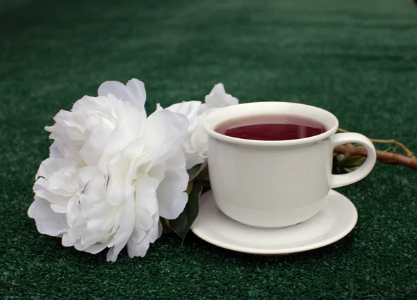 Cup of tea. Tender bkeakfast — Stock Photo, Image