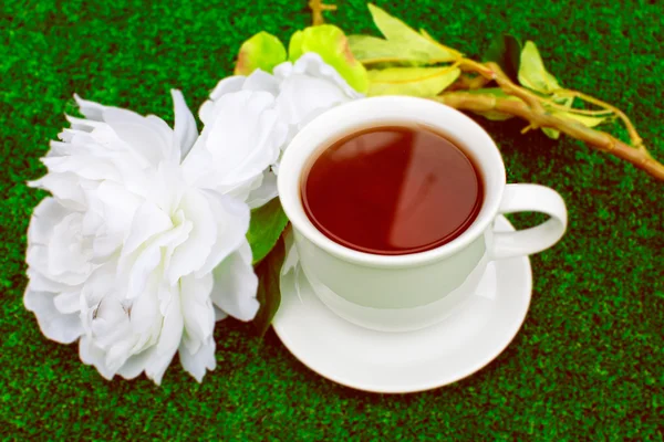 Natural tea in white cup flowers — Stock Photo, Image