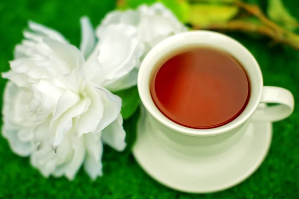 Tasse Tee mit weißer Blume — Stockfoto