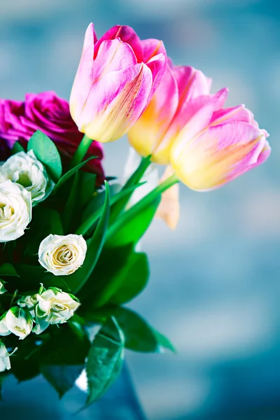 Pink tulips — Stock Photo, Image