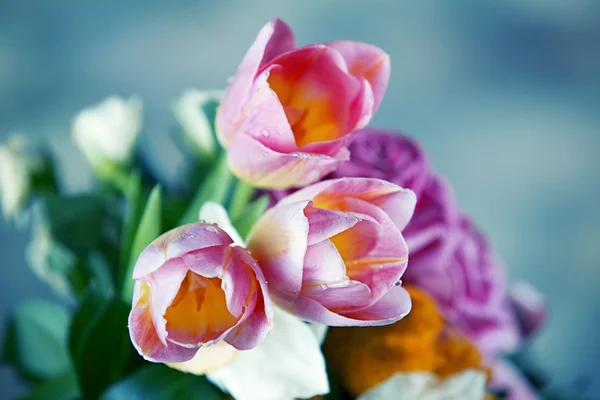 Bouquet of tulips — Stock Photo, Image