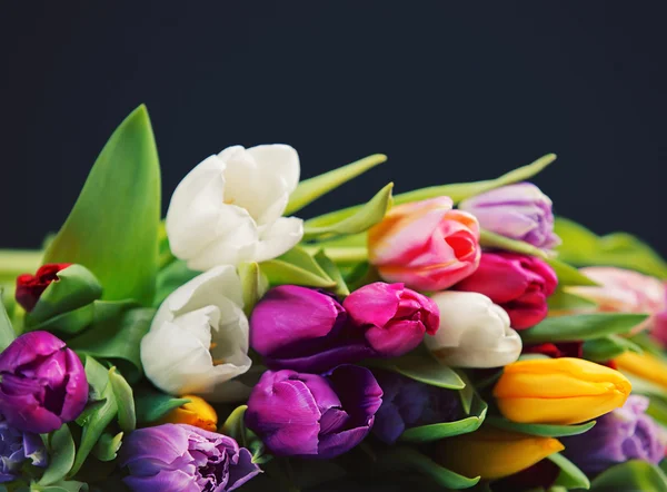 Bouquet of tulips — Stock Photo, Image