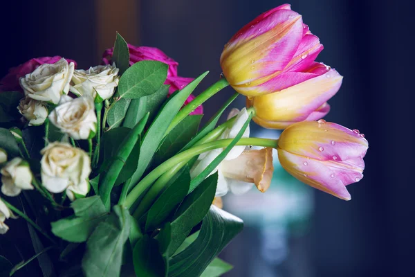 Kapka vody na růžová Tulipán — Stock fotografie