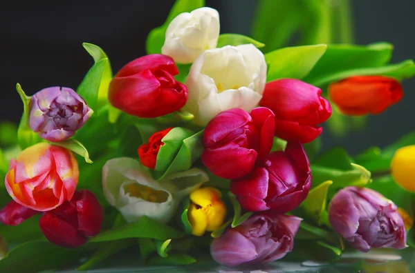 Strauß Tulpen — Stockfoto