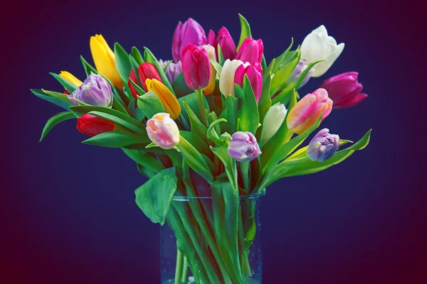 Tulips in glass vase — Stock Photo, Image