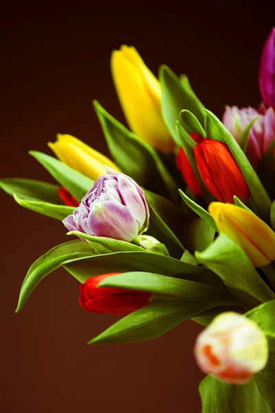 Strauß Tulpen — Stockfoto