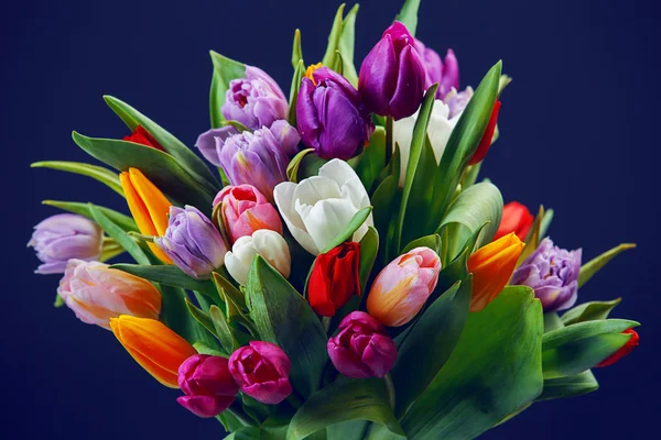 Tulpenstrauß — Stockfoto