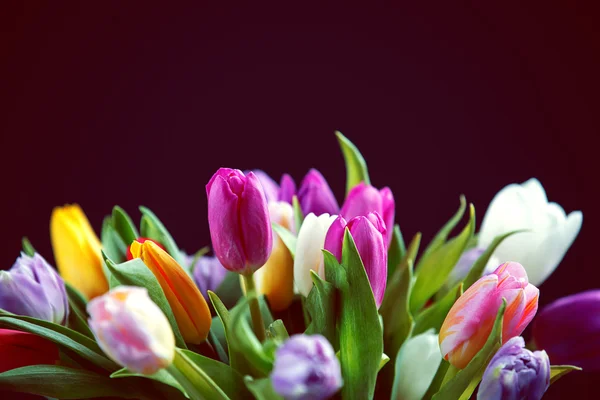 Tulpen boeket — Stockfoto