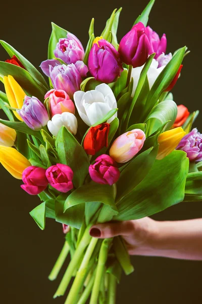 Strauß Tulpen in weiblicher Hand — Stockfoto