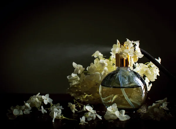 Parfüm ve çiçekler — Stok fotoğraf