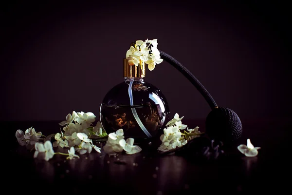 Černá lahvička parfému — Stock fotografie