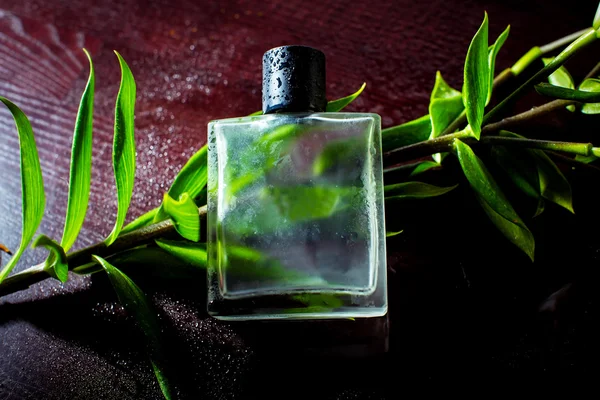 Yeşil yaprakları ile parfüm — Stok fotoğraf