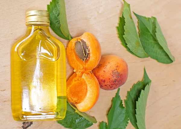 Apricot oil with a green petals — Stock Photo, Image