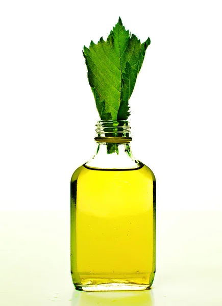 Fles met homeopathie balsem en blad — Stockfoto