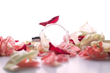 gül yaprakları arasında parfüm