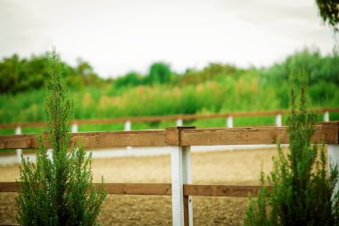 at çiftlikleri, Bahar yeşil otlaklar