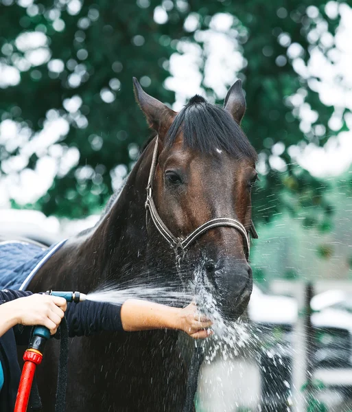 Defne at açık duş keyfini